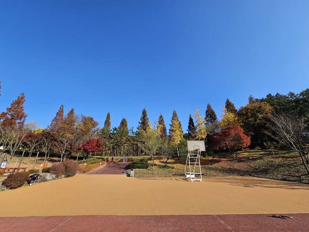전라북도 익산시 중앙체육공원 농구장